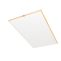 LWK-Plus1-.png